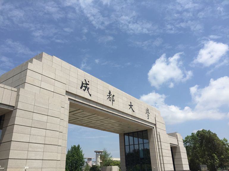 中欧体育·(中国)官方网站2024年度中国商学院发展论坛暨教育盛典：成都大学MB(图1)