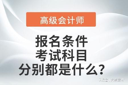 中欧体育高级会计师职称评审条件与所需材料(图1)