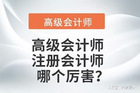中欧体育高级会计师职称评审条件与所需材料(图2)
